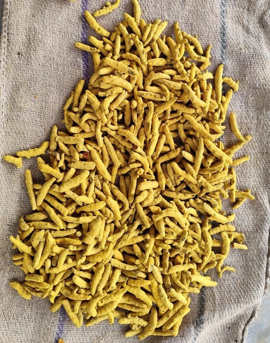Organic Turmeric